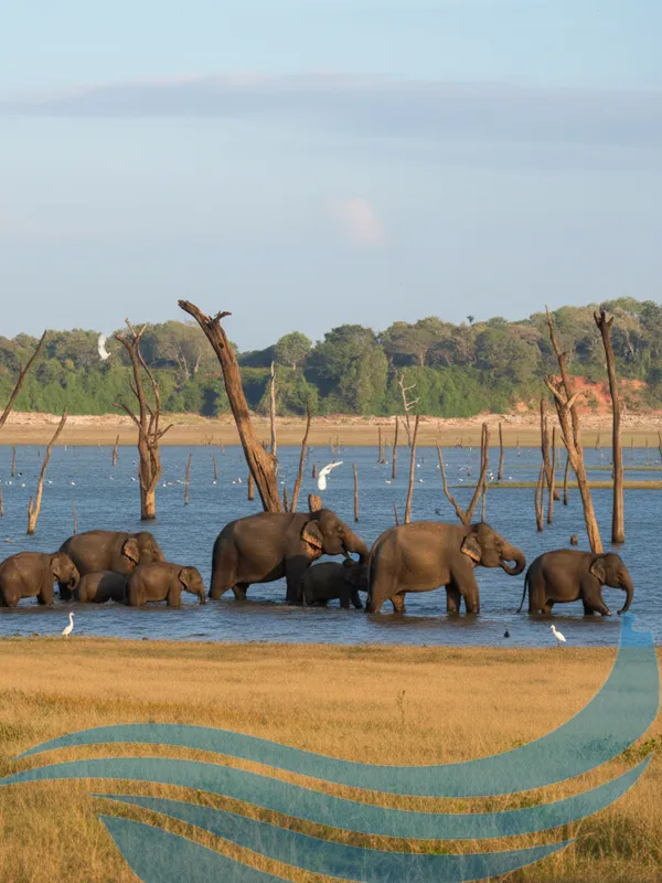 Kaudulla National Park